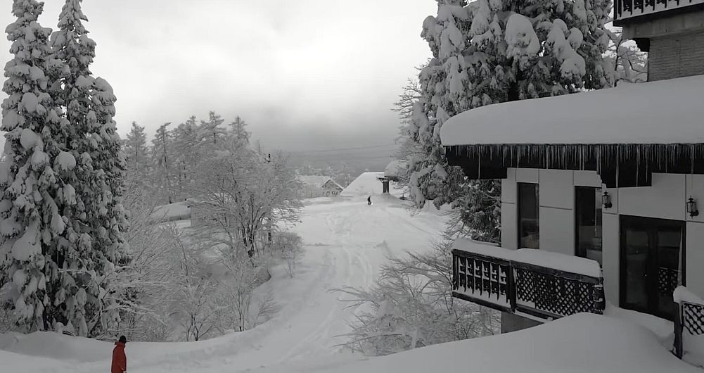 ALP Myoko - Myoko Kogen -  - image_2